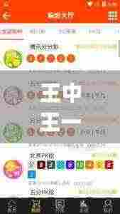 王中王一码一肖一特一中1,高效执行方案_专属版BFZ13.27