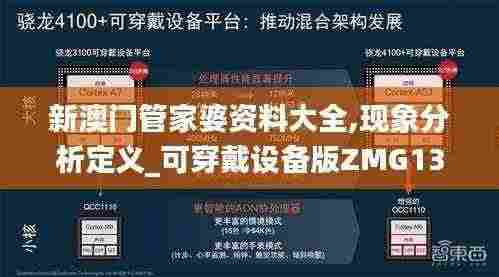 新澳门管家婆资料大全,现象分析定义_可穿戴设备版ZMG13.91