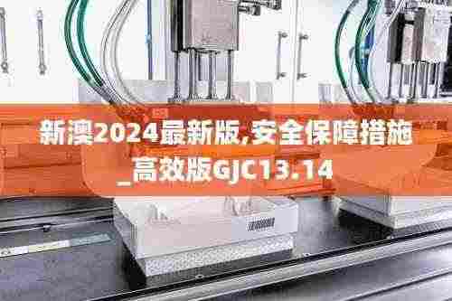 新澳2024最新版,安全保障措施_高效版GJC13.14