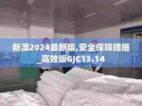 新澳2024最新版,安全保障措施_高效版GJC13.14