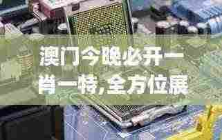 澳门今晚必开一肖一特,全方位展开数据规划_DIY工具版SDR13.92