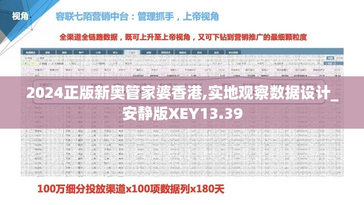 2024正版新奥管家婆香港,实地观察数据设计_安静版XEY13.39