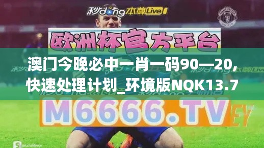 澳门今晚必中一肖一码90—20,快速处理计划_环境版NQK13.72