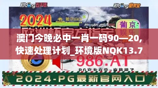 澳门今晚必中一肖一码90—20,快速处理计划_环境版NQK13.72