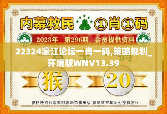 22324濠江论坛一肖一码,策略规划_环境版WNV13.39