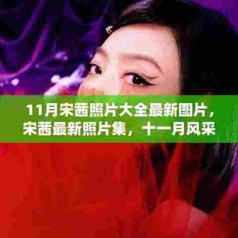 宋茜11月最新照片集,风采绽放的瞬间