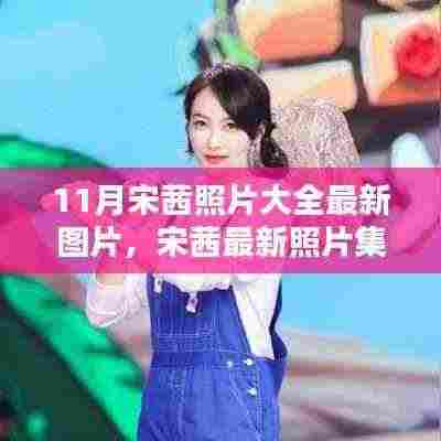 宋茜11月最新照片集,风采绽放的瞬间
