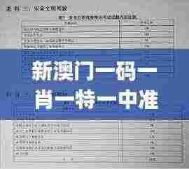 新澳门一码一肖一特一中准选今晚,科学依据解析_线上版HHQ13.97