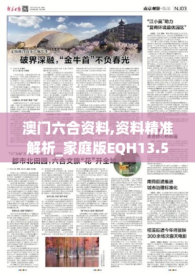 澳门六合资料,资料精准解析_家庭版EQH13.53