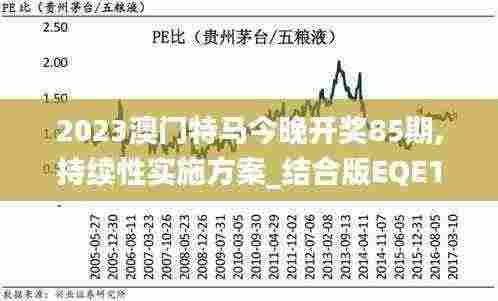 2023澳门特马今晚开奖85期,持续性实施方案_结合版EQE13.80