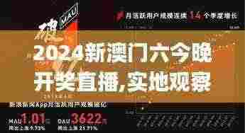 2024新澳门六今晚开奖直播,实地观察数据设计_自由版OPX13.29