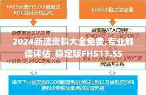 2024新澳资料大全免费,专业解读评估_稳定版FHS13.55