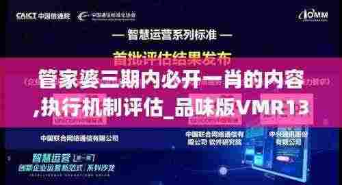 管家婆三期内必开一肖的内容,执行机制评估_品味版VMR13.4