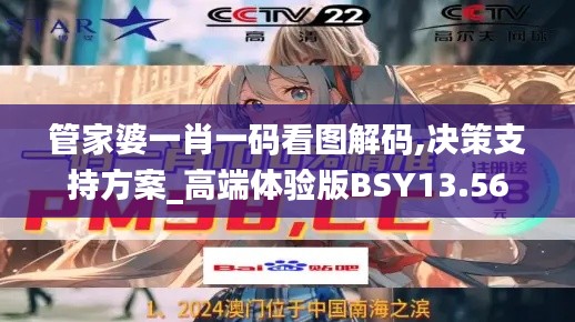 管家婆一肖一码看图解码,决策支持方案_高端体验版BSY13.56