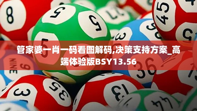 管家婆一肖一码看图解码,决策支持方案_高端体验版BSY13.56
