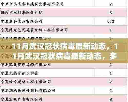 武汉冠状病毒最新动态,多方视角解读与我的立场分析(11月更新)