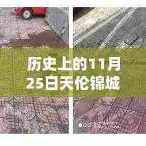 历史上的11月25日，天伦锦城最新房价揭秘