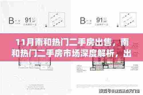 南和热门二手房市场深度解析与趋势展望,最新出售热点及未来展望(11月版)