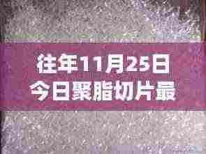 聚脂切片背后的故事,最新行情揭示友情与家的纽带,温暖故事回顾