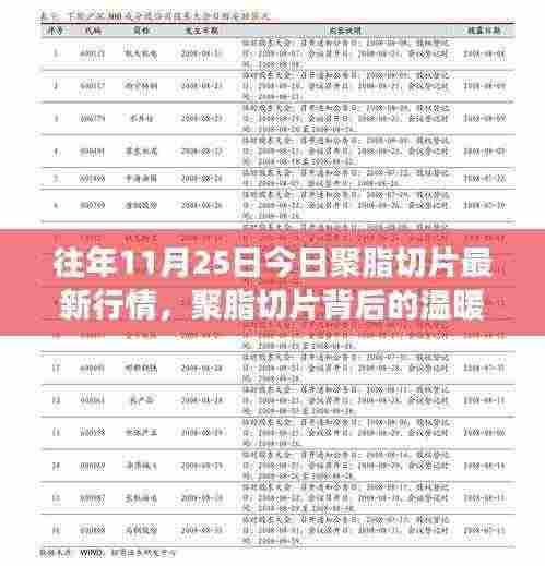 聚脂切片背后的故事,最新行情揭示友情与家的纽带,温暖故事回顾