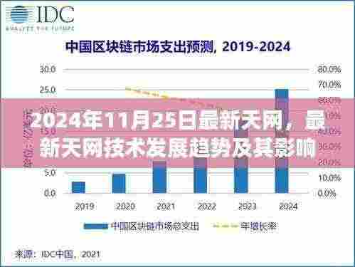 深度探讨,最新天网技术发展趋势及其影响——以某某观点解析