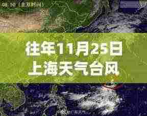 风雨中的上海,台风励志故事与梦想成就之路