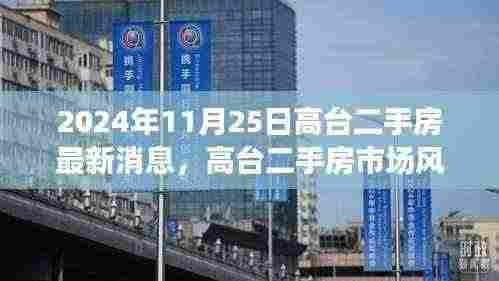 高台二手房市场风云再起，最新动态报告（2024年11月25日）