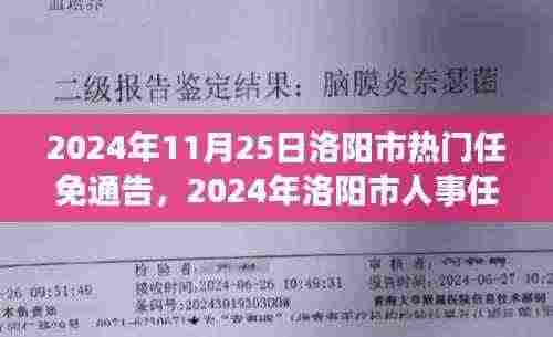 2024年洛阳市人事任免通告下的权力更迭深度解析