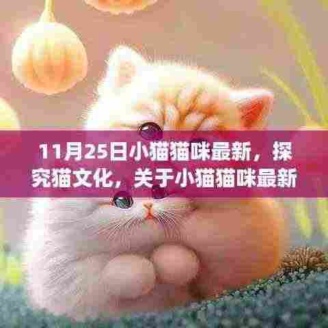 11月25日小猫猫咪最新话题热议,多元视角探究猫文化与话题深度分析
