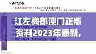 江左梅郎澳门正版资料2023年最新,实地应用实践解读_活动版PUI7.10