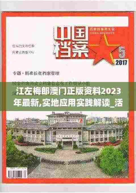 江左梅郎澳门正版资料2023年最新,实地应用实践解读_活动版PUI7.10