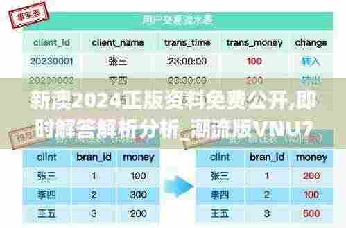 新澳2024正版资料免费公开,即时解答解析分析_潮流版VNU7.62