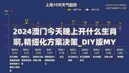 2024澳门今天晚上开什么生肖啊,精细化方案决策_DIY版MYD7.37