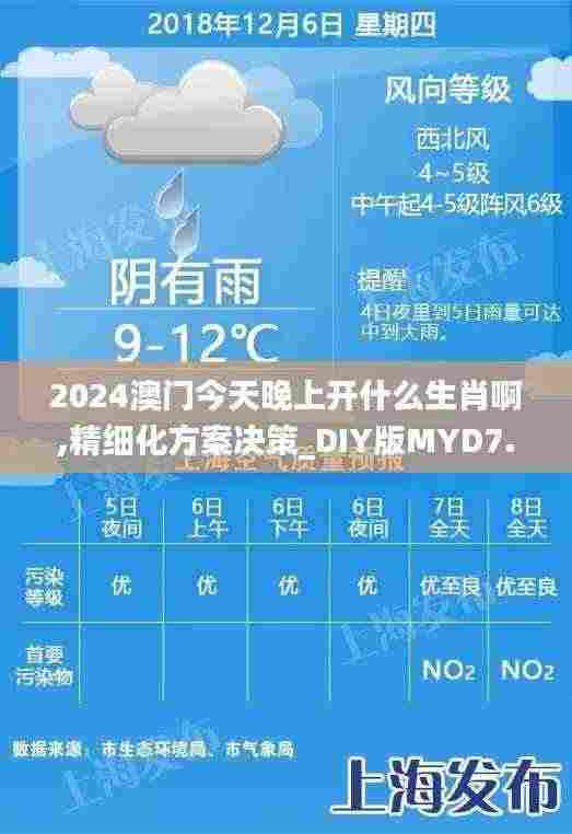 2024澳门今天晚上开什么生肖啊,精细化方案决策_DIY版MYD7.37