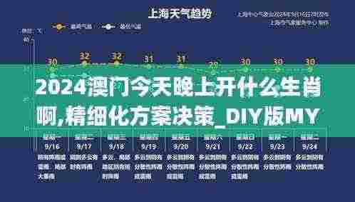 2024澳门今天晚上开什么生肖啊,精细化方案决策_DIY版MYD7.37