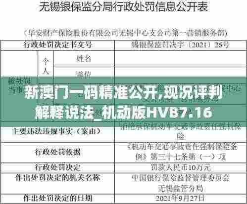 新澳门一码精准公开,现况评判解释说法_机动版HVB7.16