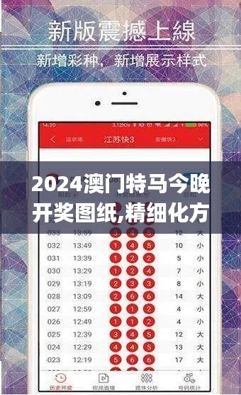 2024澳门特马今晚开奖图纸,精细化方案决策_影音版IZT7.89