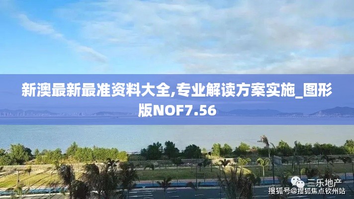 新澳最新最准资料大全,专业解读方案实施_图形版NOF7.56