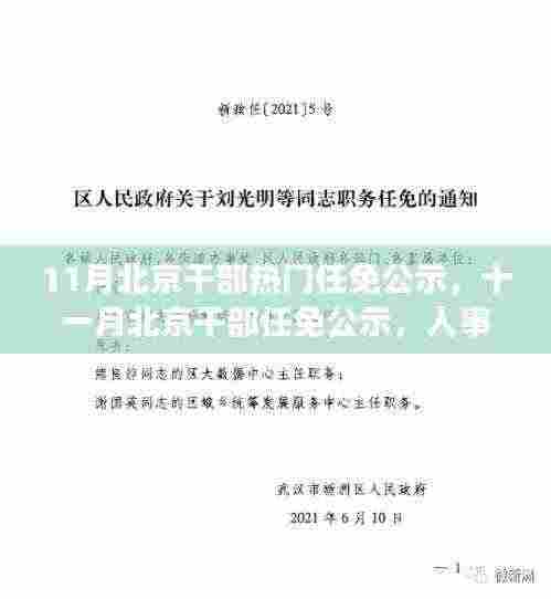 北京干部任免公示背后的深意与期待,人事调整聚焦十一月动态