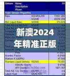 新澳2024年精准正版资料,快速问题处理_编辑版IOM7.30