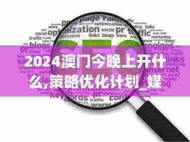 2024澳门今晚上开什么,策略优化计划_媒体宣传版UFM7.91