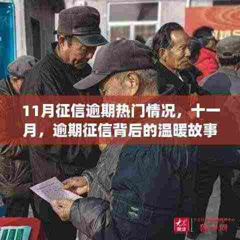 十一月征信逾期背后的故事与启示