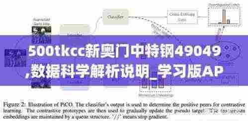500tkcc新奥门中特钢49049,数据科学解析说明_学习版APH7.74