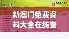 新澳门免费资料大全在线查看,解析解释说法_味道版YZH7.89