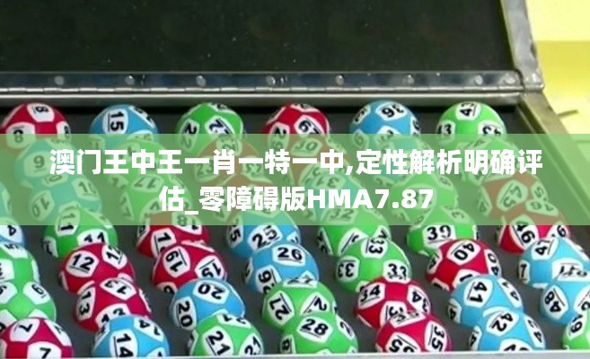 澳门王中王一肖一特一中,定性解析明确评估_零障碍版HMA7.87