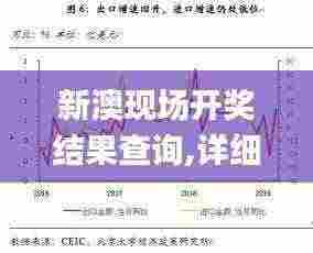 新澳现场开奖结果查询,详细数据解读_习惯版DZN7.33