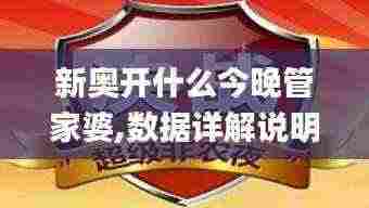 新奥开什么今晚管家婆,数据详解说明_儿童版ONX7.34