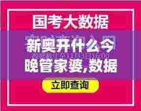 新奥开什么今晚管家婆,数据详解说明_儿童版ONX7.34