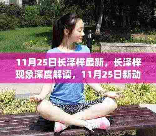 长泽梓现象深度解读,最新动向、多元观点探讨及其社会影响分析