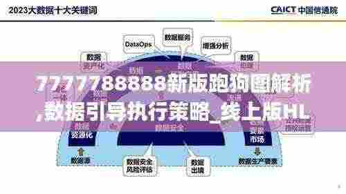 7777788888新版跑狗图解析,数据引导执行策略_线上版HLY7.76